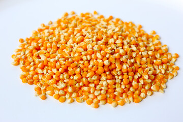 Yellow raw unpopped popcorn kernels