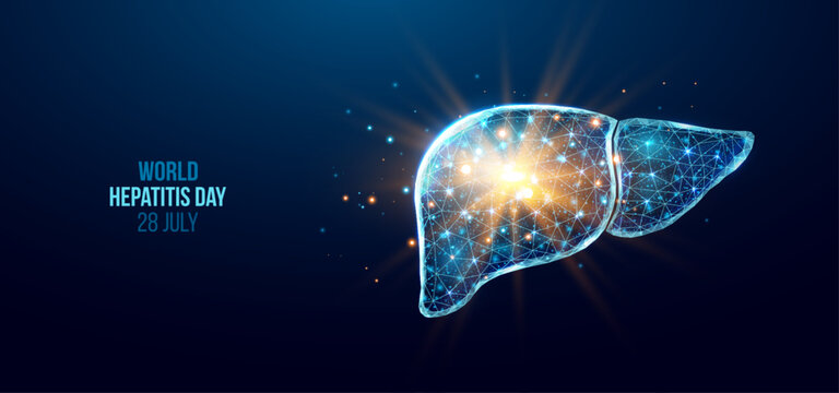 Liver wireframe. World hepatitis day concept. Banner template with glowing low poly liver. Futuristic modern abstract. Isolated on dark background. Vector illustration.