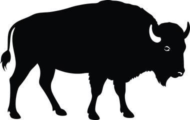 Bison buffalo  black silhouette vector