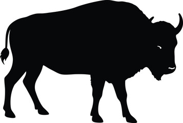 Bison buffalo  black silhouette vector,American bison or buffalo