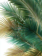 Close up of overlapping green and gold palm leaves