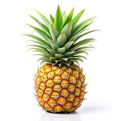 Pineapple fruit on white background