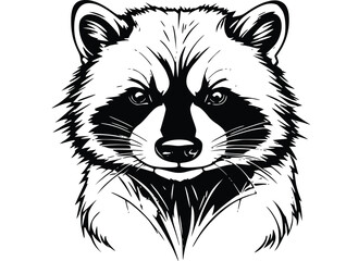 Fototapeta premium vector illustration of a raccoon