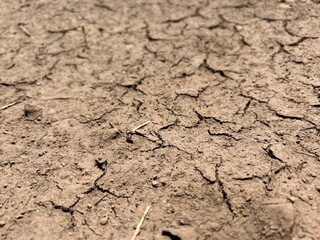 cracked earth, dry earth in cracks, brown dry earth in cracks, background of cracked earth

