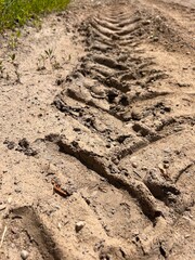 dried truck tracks in the sand
