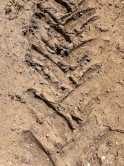 dried truck tracks in the sand

