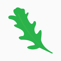 Naklejka premium Green arugula leaves are commonly used for salad mixes or sandwiches.