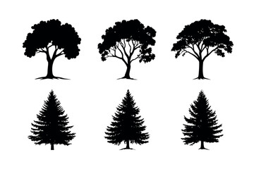 Fototapeta premium Six tree silhouettes collection illustration silhouette