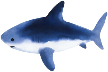 Watercolor style shark illustration on transparent background.