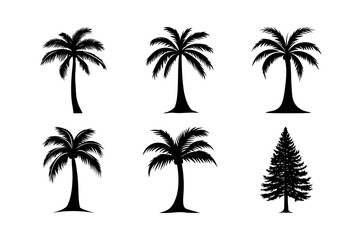 Fototapeta premium Collection of palm and pine tree silhouettes