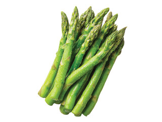 Asparagus isolated on transparent or white background