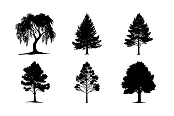 Fototapeta premium Six different tree silhouettes collection