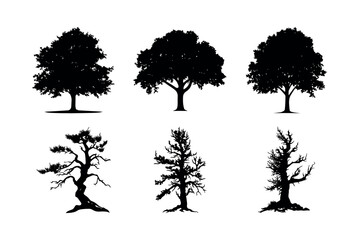 Fototapeta premium Six tree silhouettes collection vector illustration silhouette
