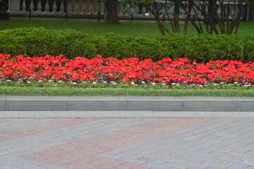 Gray curb on background of flowers, minimalism, path in the park, 2