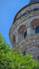 Fototapeta premium Galata Tower And Tree