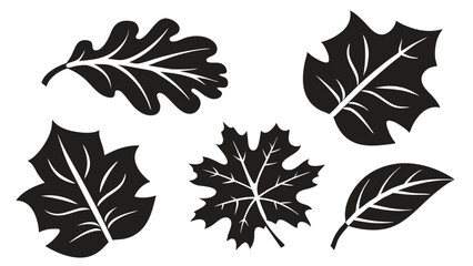Fototapeta premium A set of vector leaf icons for nature-inspired designs, featuring autumn tree and feather illustrations in a seamless pattern