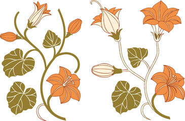 Pumpkin Flower Clipart Set for Autumn Design. Hand Drawn Pumpkin Flower Illustrations Collection. Botanical Pumpkin Flower Art for Fall Projects. Elegant Pumpkin Flower Graphic Set for Harvest Season