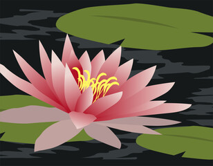 Lotus flower in flat design style. Minimalistic background of blooming flower over water.