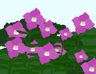 Purple summer flowers among the grass in flat design style. Bright color palette.