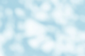 Blue shadow of leaves tree plant on white wall. Sunlight shining through window overlay effect shadows.