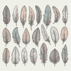 Elegant Retro Feather Logo Design in Line Art Style

