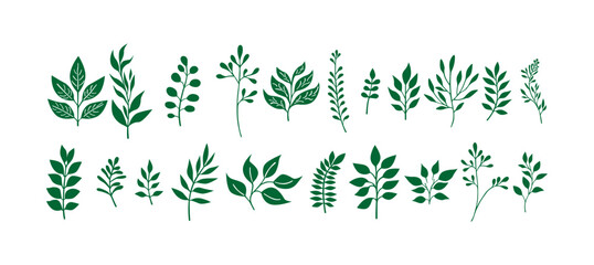 Set of Stylized Green Leaf Illustration
