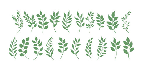 Set of Stylized Green Leaf Illustration