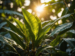 A cinematic view of golden sunlight filtering through layered tropical leaves creating glowing edges and soft bokeh in the background this image highlights fine leaf detail with translucent