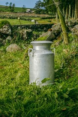Obraz premium Traditional Aluminum Milk Churn Standing in Lush Green Grass by a Stone Wall. Rural Setting, Farm Life, Dairy Industry, Vintage Container, agricultural themes, rural travel