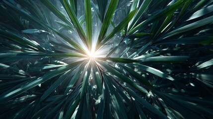 Fototapeta premium Abstract Green Leaves Background with Sunlight Rays
