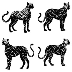 Four black and white cheetahs with spotted patterns standing in different poses on a white background