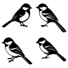 Four black and white chickadee birds in various poses against a plain white background illustration style