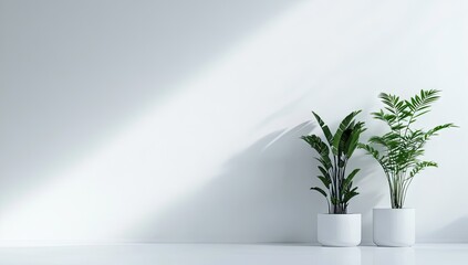 Minimalist interior scene with two potted plants
