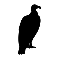 Silhouette of a large vulture standing, isolated on a white background