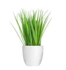Green artificial grass in pot isolated on white