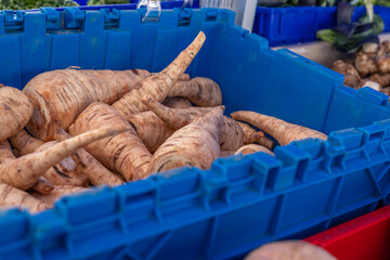 fresh organic parsnip in the box 