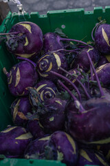 fresh organic Kohlrabi (German turnip) on the stand  