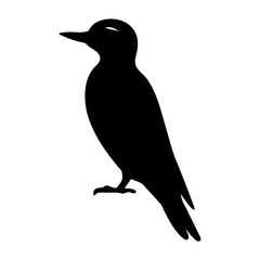 Silhouette of a bird with a long beak and slender body