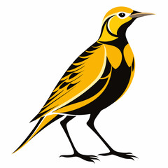 Obraz premium Eastern Meadowlark vector silhouette on white background