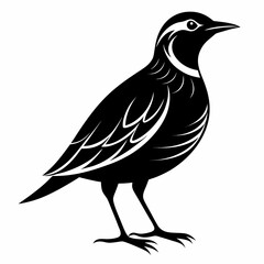 Obraz premium Eastern Meadowlark vector silhouette on white background