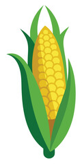 Yellow Corn Cob Clipart Green Husk Simple Illustration