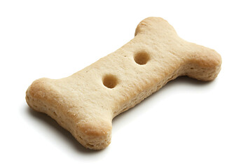 Single dog biscuit bone shaped cookie isolated on white background
