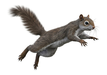 Eastern Gray Squirrel in Mid-Leap:  Exceptional Wildlife Photography on transparent background © mahboob