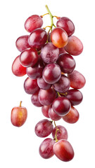 A luscious bunch of ruby red grapes isolated on a white background