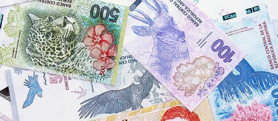 Argentine pesos money bills in big amount lies on white table close up