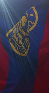 Flag of Kallithea, Greece. Loop. 4K Vertical