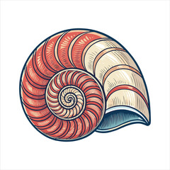 Fototapeta premium Conch Shells Vector