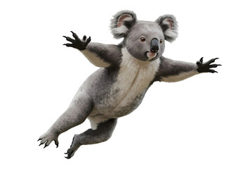 Koala Bear in Mid-Air: Wildlife Photography on transparent background © mahboob