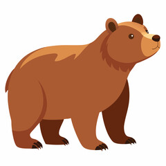 brown bear cartoon