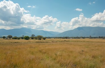 Fototapeta premium Idyllic rural landscape of Pampa biome. Rolling hills, lush grassland, trees under blue sky with fluffy clouds. Tranquil scene evokes peace, calm. Agriculture, ecotourism. Scenic background.